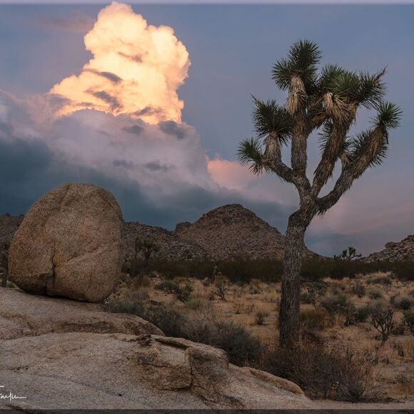 Some Amazing JT sunsets! - Picture 4 of 16